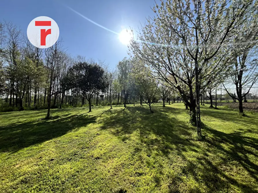 Immagine 24 di Casa indipendente in vendita  in Via Monte Grappa a Limena