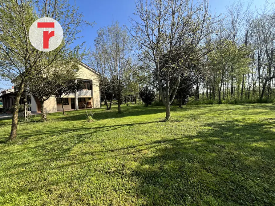 Immagine 25 di Casa indipendente in vendita  in Via Monte Grappa a Limena