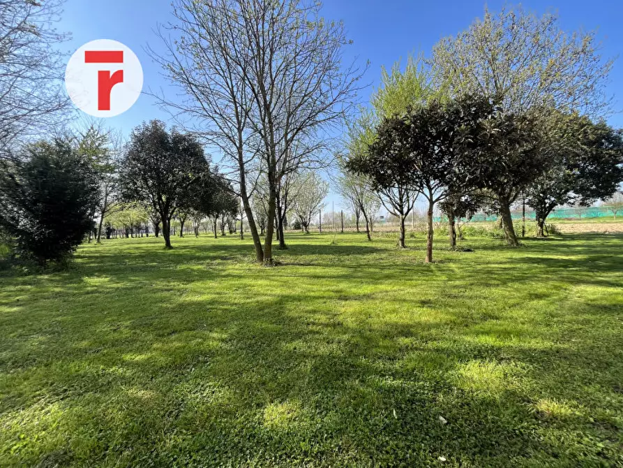 Immagine 26 di Casa indipendente in vendita  in Via Monte Grappa a Limena