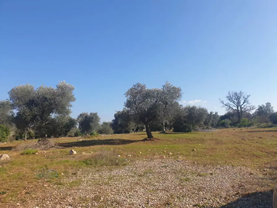 Immagine 10 di Rustico / casale in vendita  in Contrada Donno Santo a Ceglie Messapico