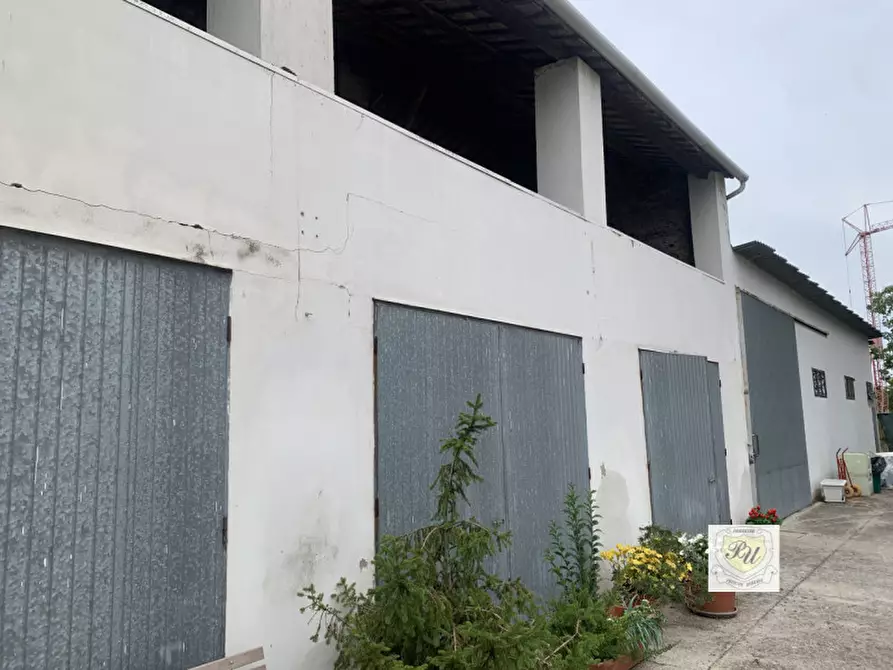 Immagine 13 di Casa indipendente in vendita  in Via XXVIII Aprile a Solesino