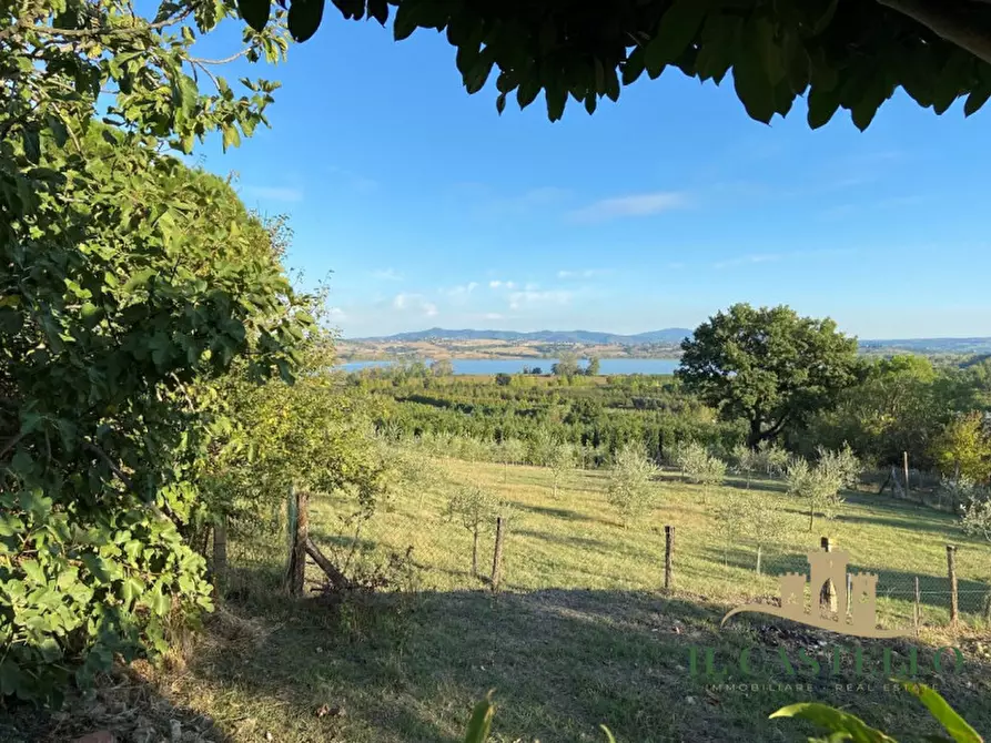 Immagine 3 di Appartamento in vendita  in i guidonami a Castiglione Del Lago