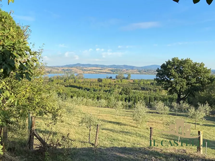 Immagine 20 di Appartamento in vendita  in i guidonami a Castiglione Del Lago