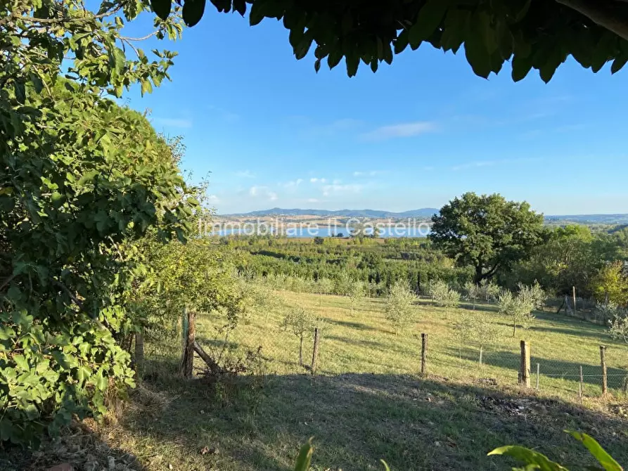 Immagine 31 di Appartamento in vendita  in i guidonami a Castiglione Del Lago