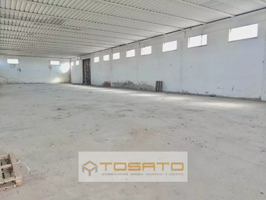 Immagine 2 di Terreno in vendita  a Cerea