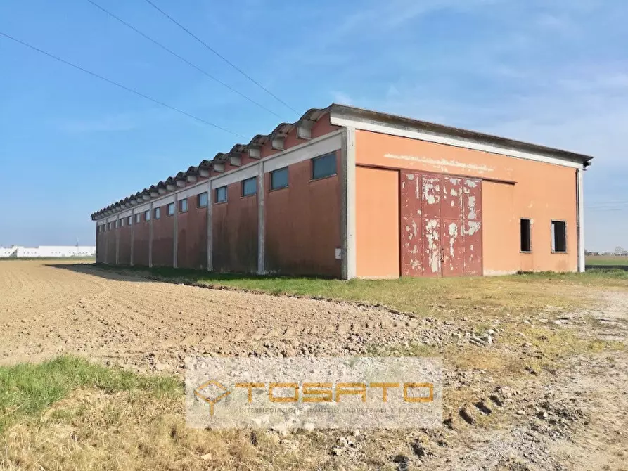 Immagine 3 di Terreno in vendita  a Cerea