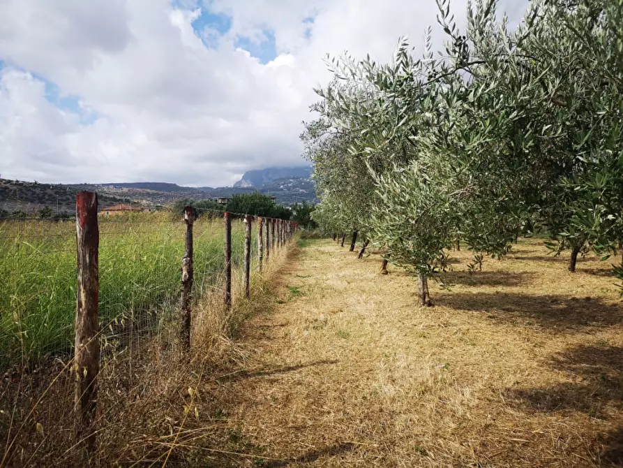 Immagine 2 di Terreno in vendita  in VIA SP 30 a Eboli