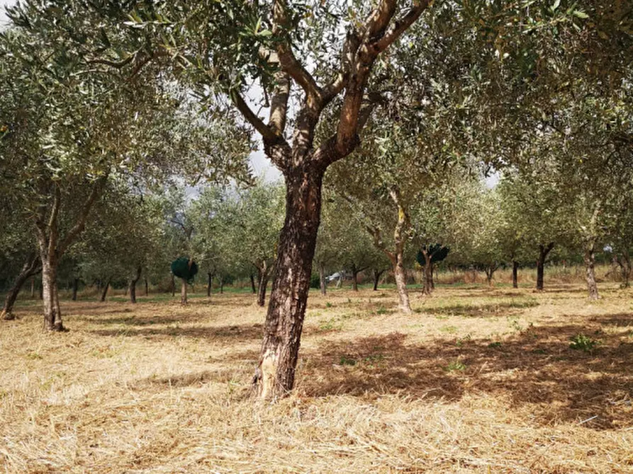 Immagine 3 di Terreno in vendita  in VIA SP 30 a Eboli