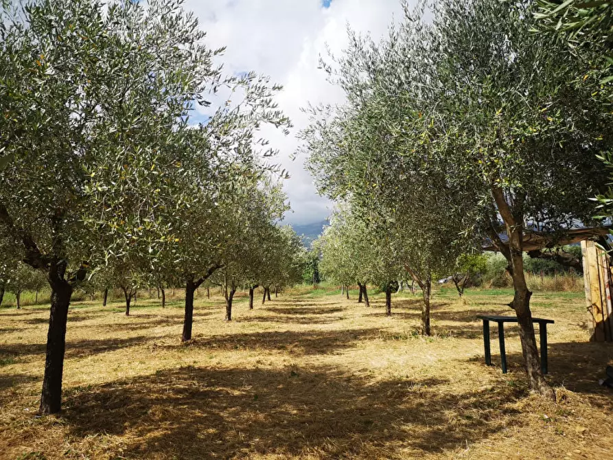Immagine 4 di Terreno in vendita  in VIA SP 30 a Eboli