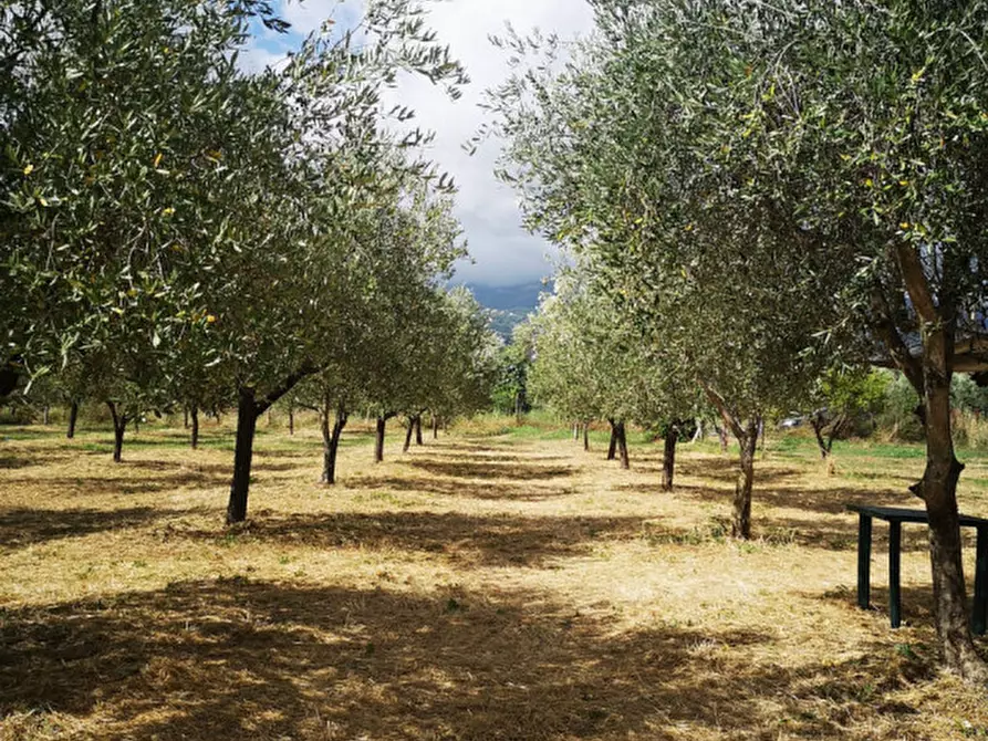 Immagine 6 di Terreno in vendita  in VIA SP 30 a Eboli