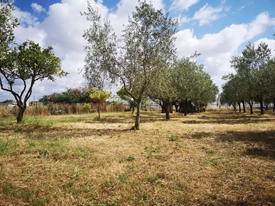Immagine 7 di Terreno in vendita  in VIA SP 30 a Eboli