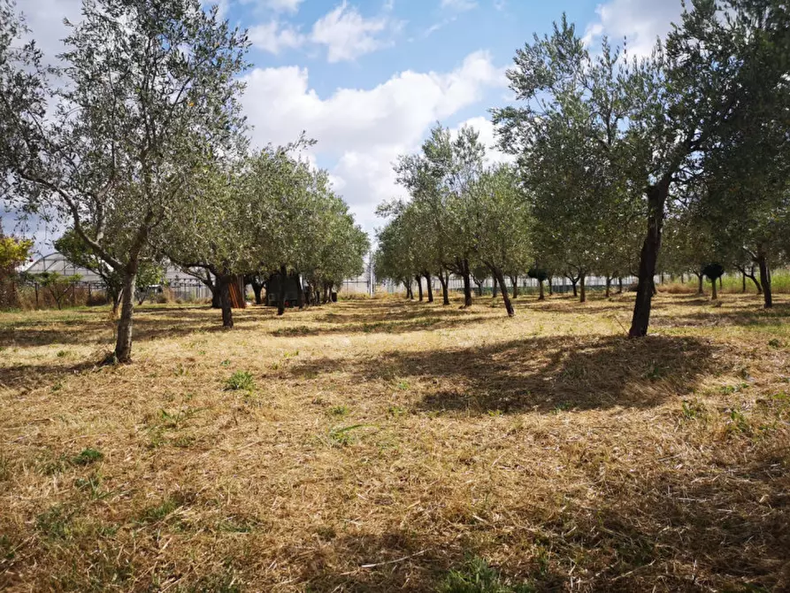Immagine 8 di Terreno in vendita  in VIA SP 30 a Eboli