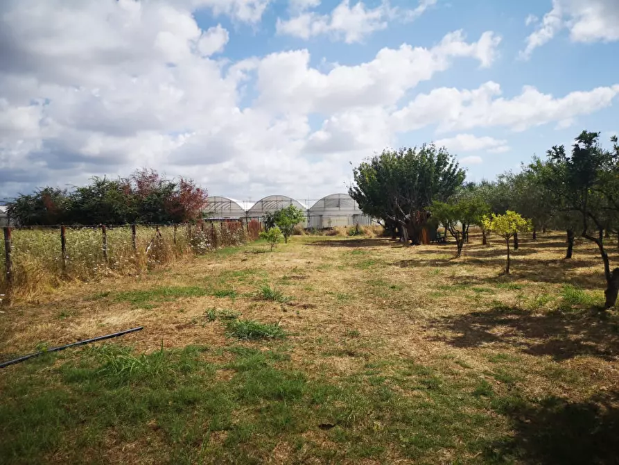 Immagine 11 di Terreno in vendita  in VIA SP 30 a Eboli