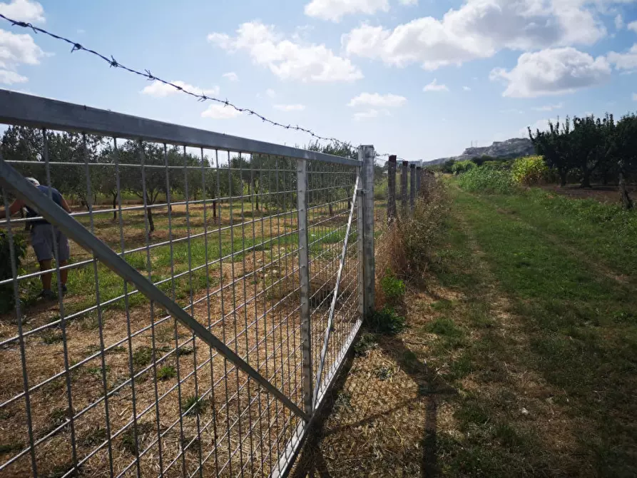 Immagine 12 di Terreno in vendita  in VIA SP 30 a Eboli