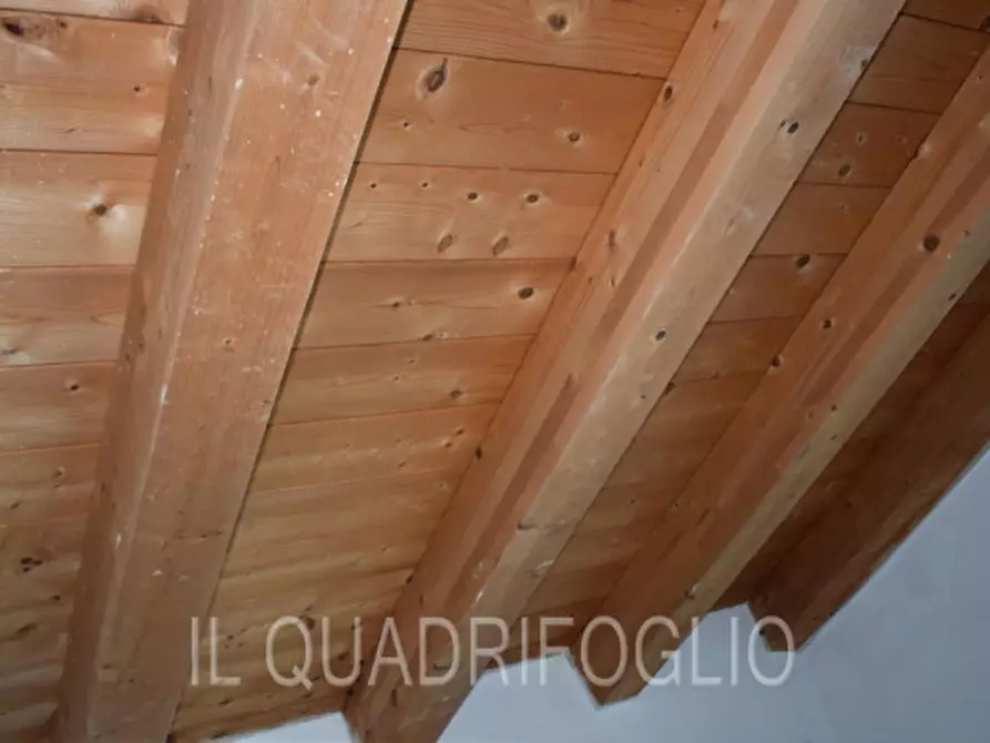 Immagine 8 di Appartamento in vendita  a Bertinoro