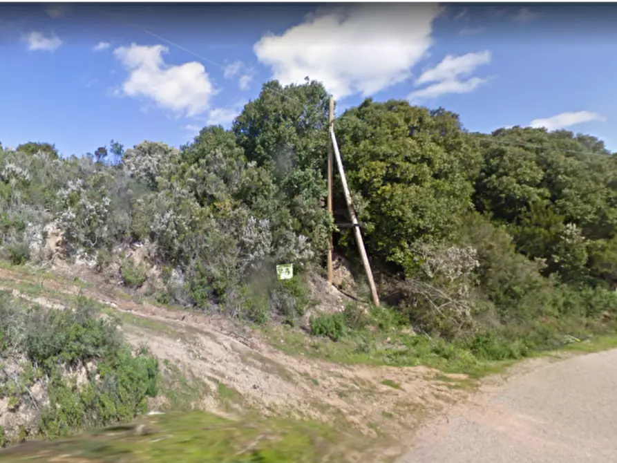 Immagine 2 di Terreno in vendita  in Campovaglio a Aglientu