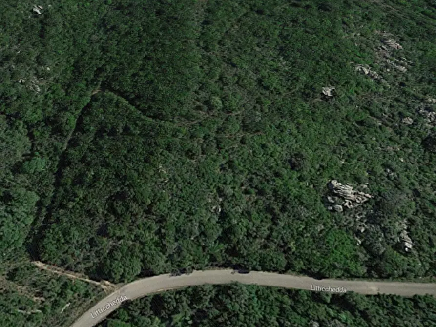 Immagine 3 di Terreno in vendita  in Campovaglio a Aglientu
