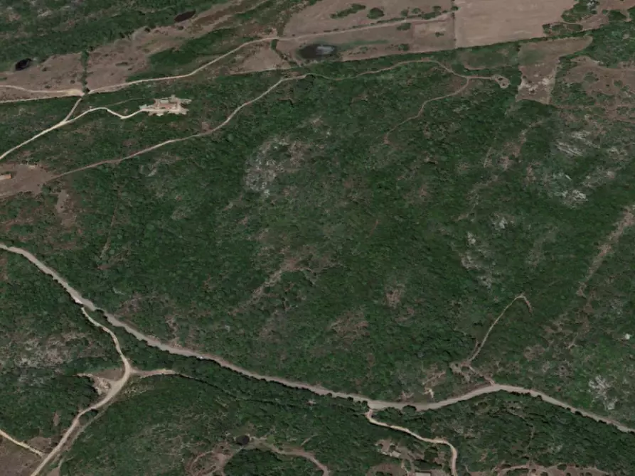 Immagine 5 di Terreno in vendita  in Campovaglio a Aglientu