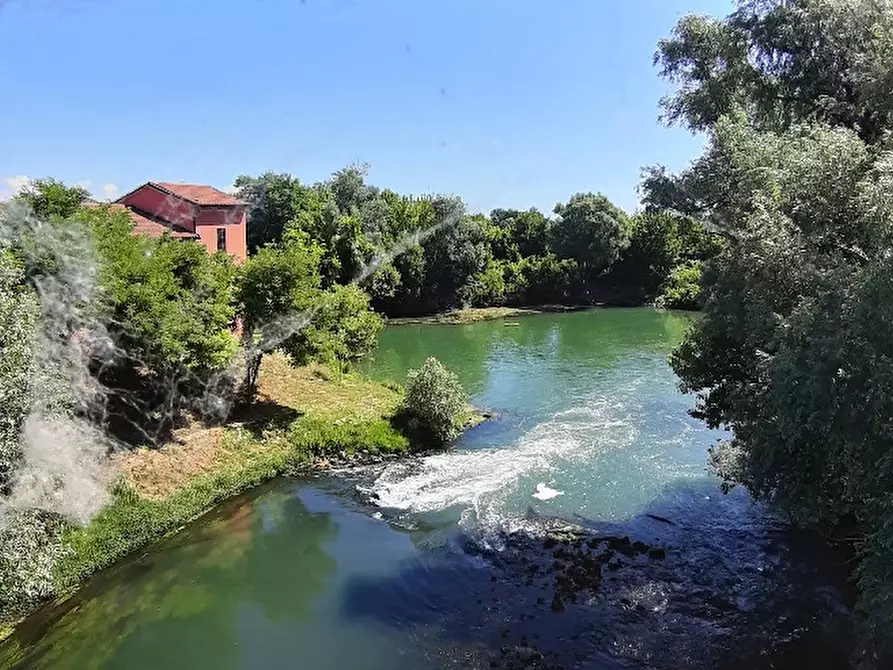 Immagine 2 di Terreno in vendita  a Veggiano