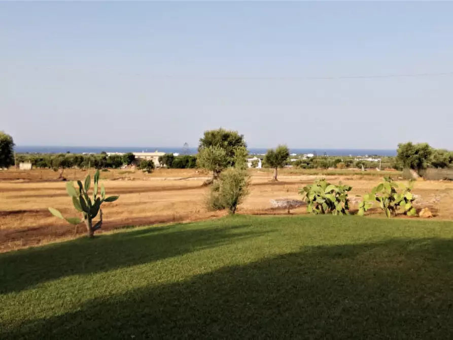 Immagine 35 di Rustico / casale in vendita  a Fasano