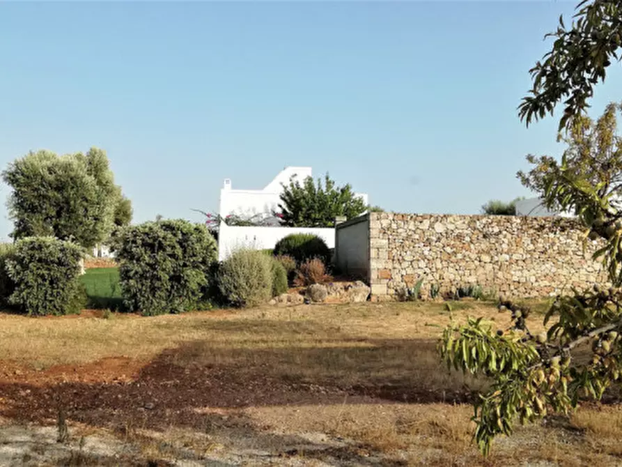 Immagine 36 di Rustico / casale in vendita  a Fasano