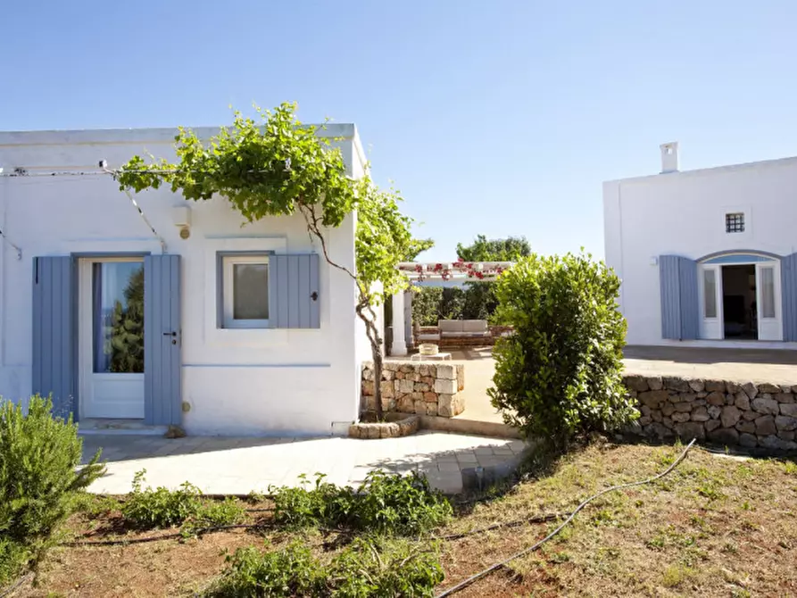 Immagine 43 di Rustico / casale in vendita  a Fasano