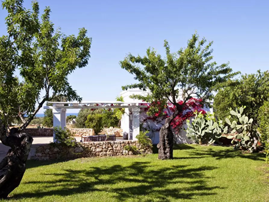 Immagine 47 di Rustico / casale in vendita  a Fasano