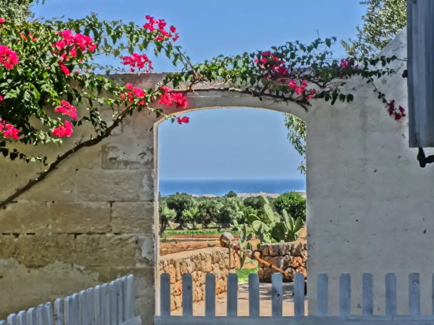 Immagine 54 di Rustico / casale in vendita  a Fasano