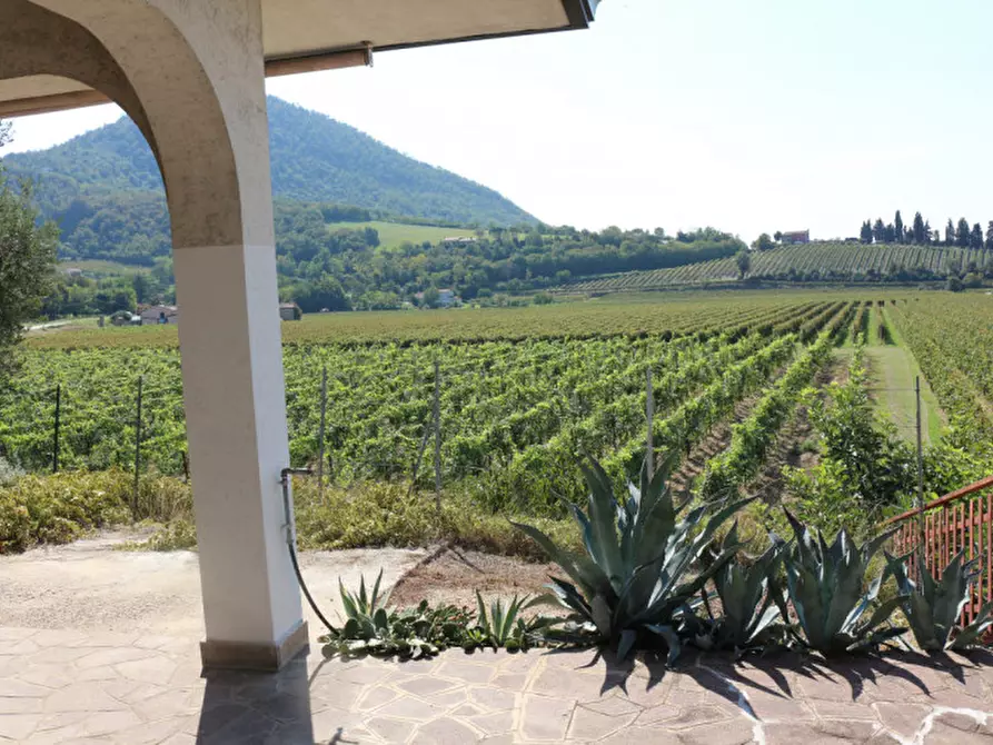 Immagine 4 di Casa bifamiliare in vendita  in Via Bagno a Cinto Euganeo