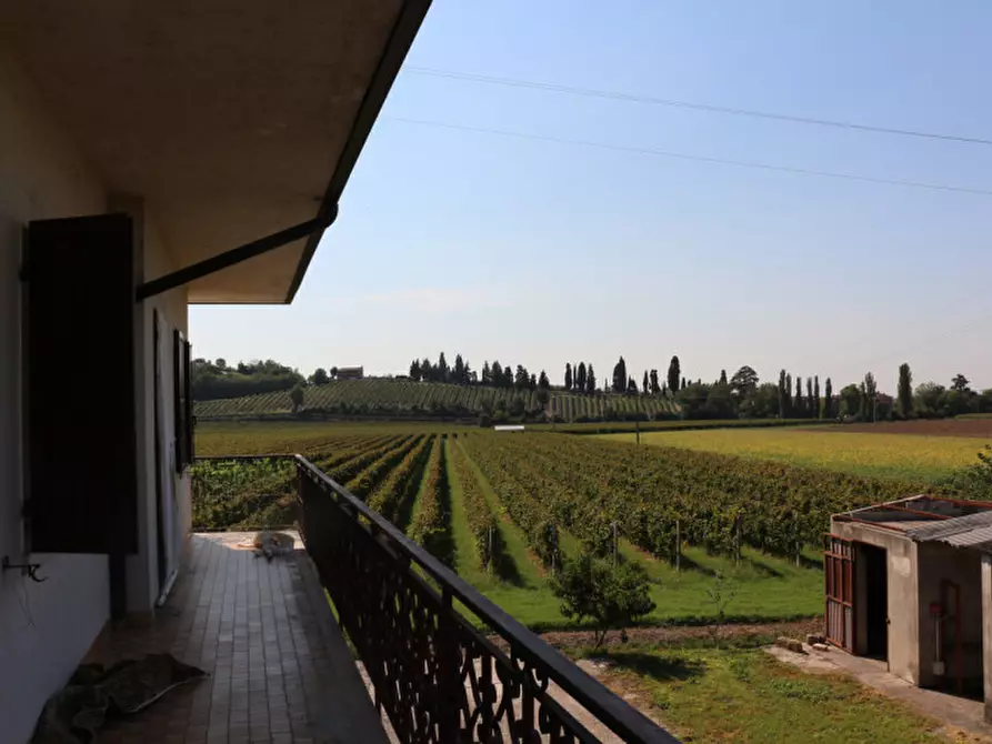 Immagine 5 di Casa bifamiliare in vendita  in Via Bagno a Cinto Euganeo