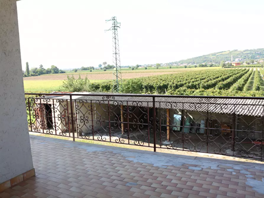 Immagine 13 di Casa bifamiliare in vendita  in Via Bagno a Cinto Euganeo