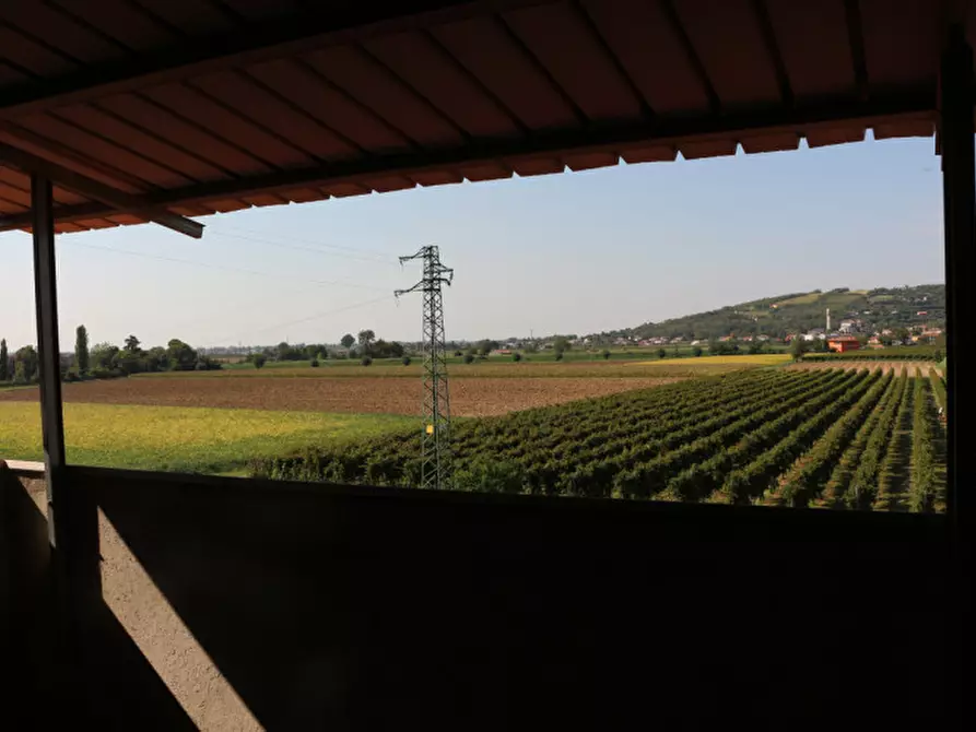 Immagine 16 di Casa bifamiliare in vendita  in Via Bagno a Cinto Euganeo