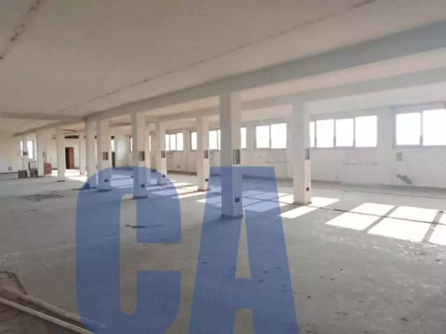 Immagine 2 di Capannone industriale in vendita  in VIALE DELLE INDUSTRIE a Settala