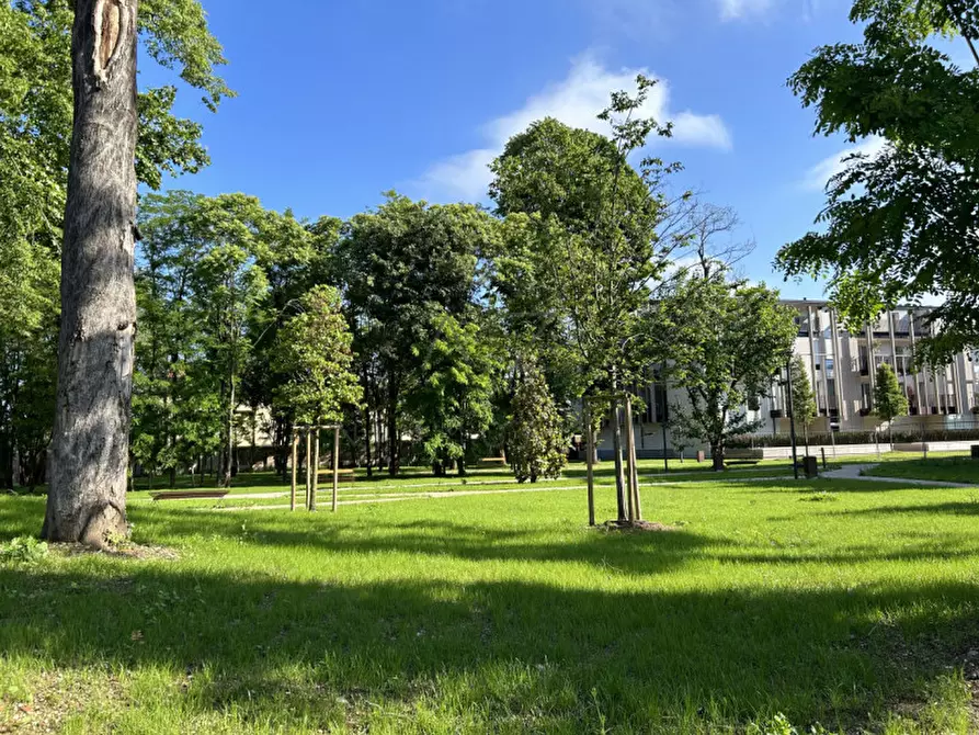 Immagine 22 di Negozio in vendita  in Via Cazzaro a Castelfranco Veneto