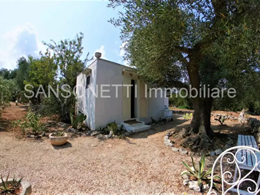 Immagine 38 di Rustico / casale in vendita  in Roger a Ceglie Messapico