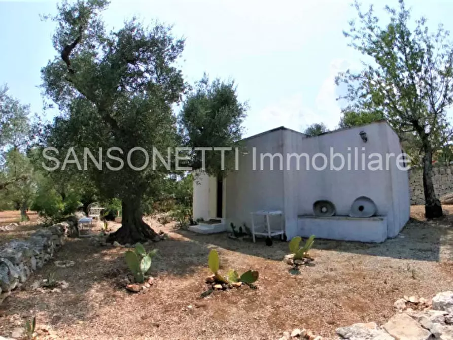 Immagine 39 di Rustico / casale in vendita  in Roger a Ceglie Messapico