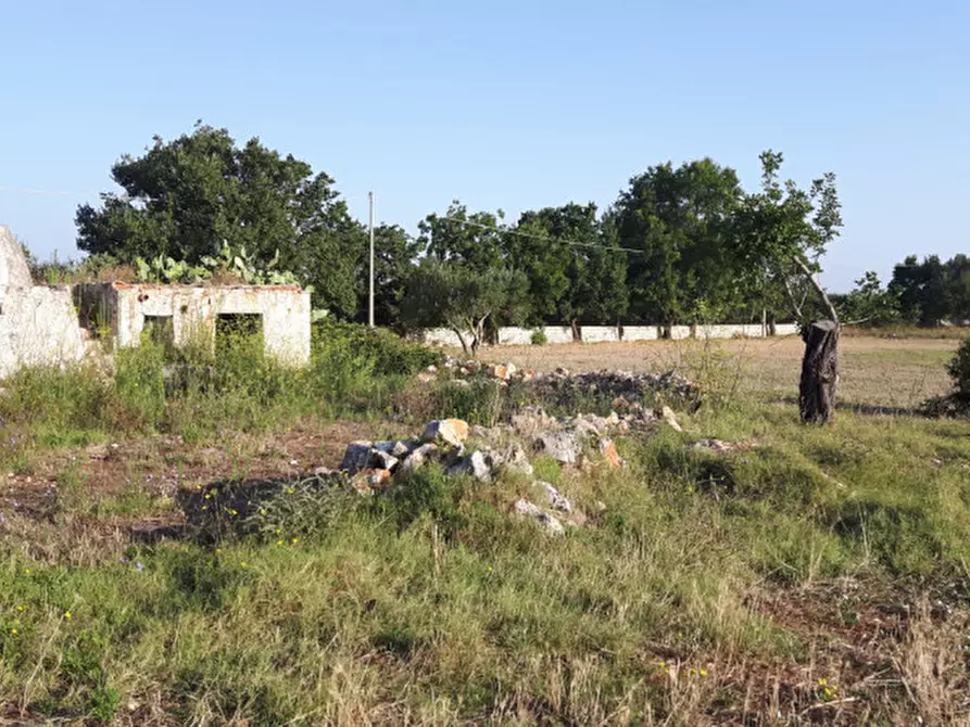Immagine 2 di Rustico / casale in vendita  in contrada correo a Carovigno