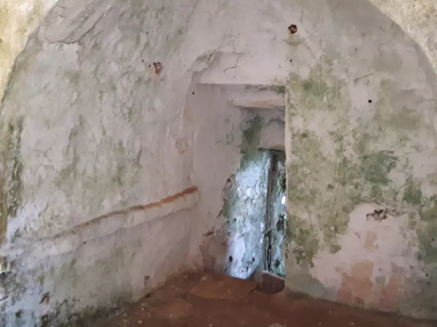 Immagine 3 di Rustico / casale in vendita  in contrada correo a Carovigno