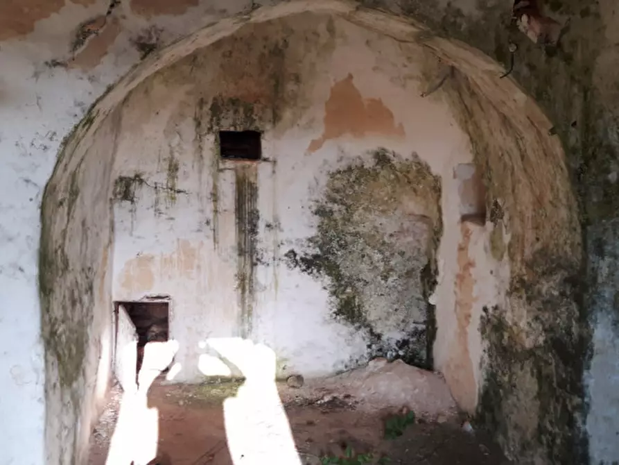 Immagine 4 di Rustico / casale in vendita  in contrada correo a Carovigno