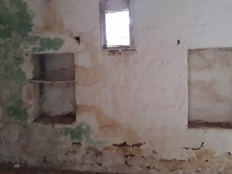 Immagine 6 di Rustico / casale in vendita  in contrada correo a Carovigno