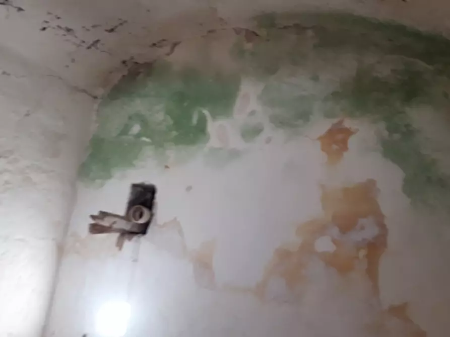 Immagine 8 di Rustico / casale in vendita  in contrada correo a Carovigno