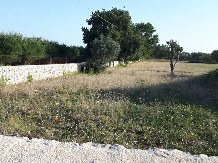 Immagine 11 di Rustico / casale in vendita  in contrada correo a Carovigno