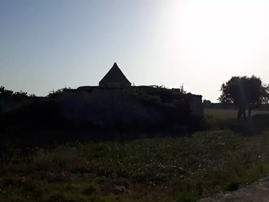 Immagine 12 di Rustico / casale in vendita  in contrada correo a Carovigno