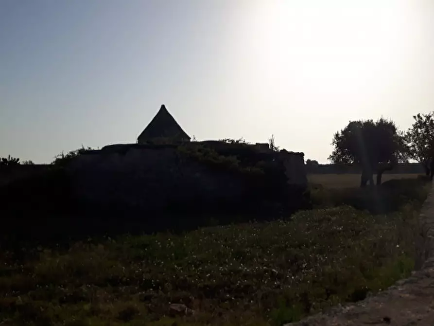 Immagine 13 di Rustico / casale in vendita  in contrada correo a Carovigno