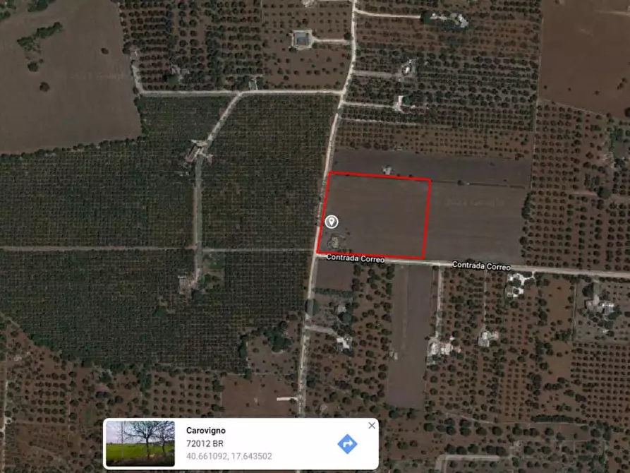 Immagine 14 di Rustico / casale in vendita  in contrada correo a Carovigno