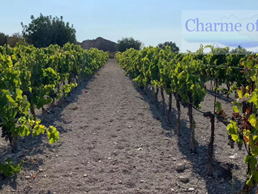 Immagine 2 di Rustico / casale in vendita  in Contrada Bonivini a Noto