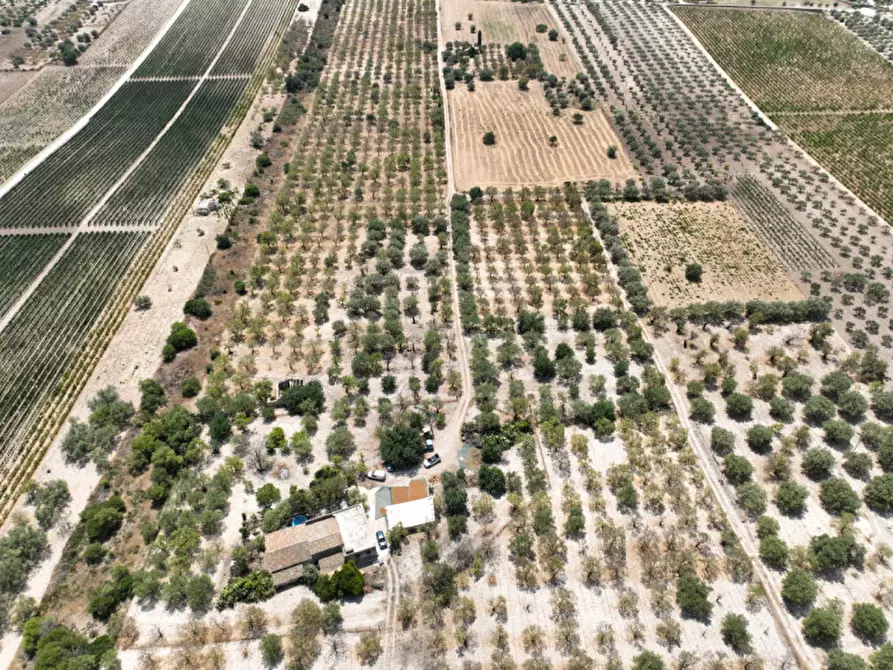 Immagine 4 di Rustico / casale in vendita  in Contrada Bonivini a Noto