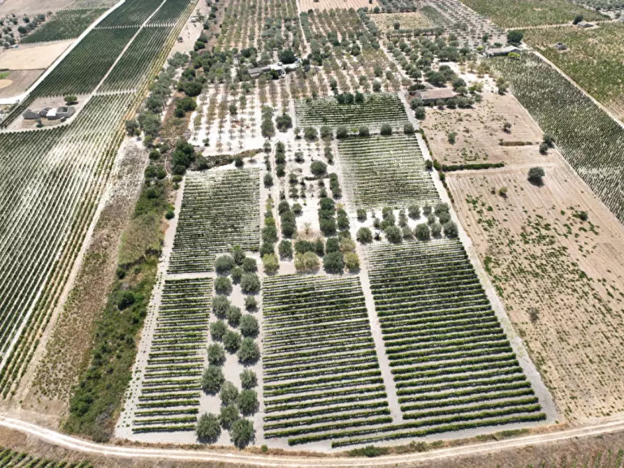Immagine 7 di Rustico / casale in vendita  in Contrada Bonivini a Noto
