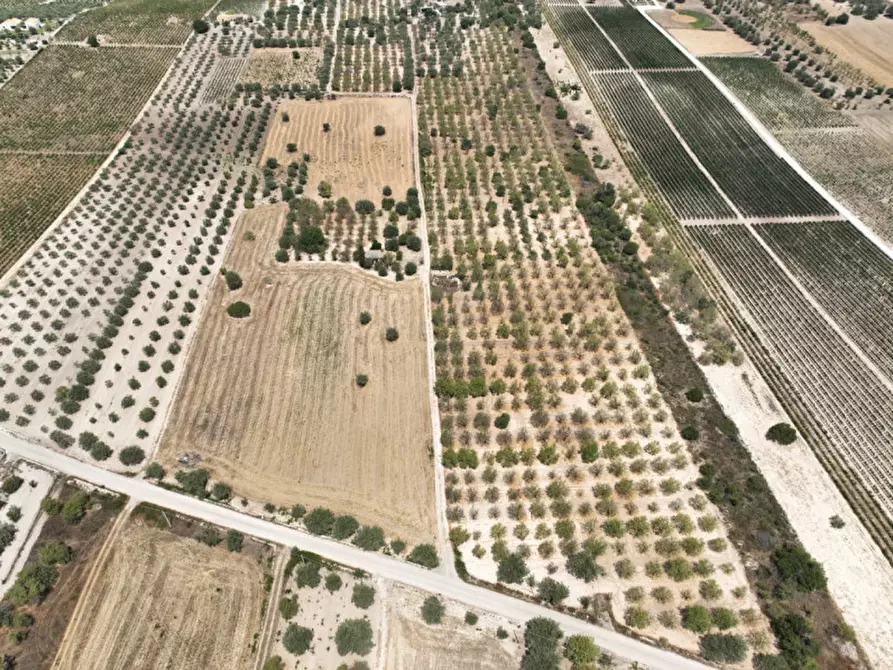 Immagine 8 di Rustico / casale in vendita  in Contrada Bonivini a Noto