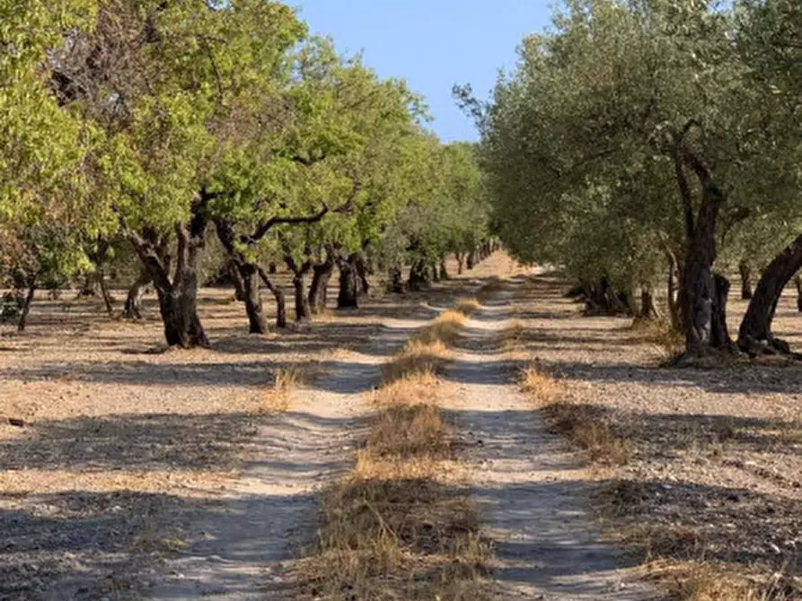 Immagine 14 di Rustico / casale in vendita  in Contrada Bonivini a Noto